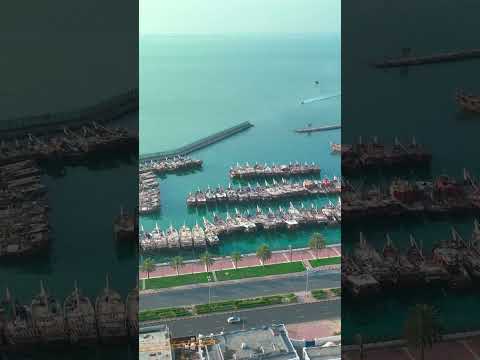    نقعة الشملان سوق السمك الكويت   3 سوق شرق