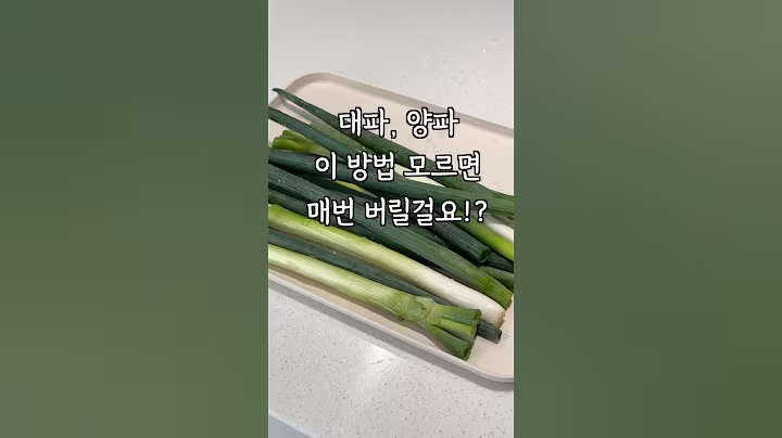 장보고 바로 이 방법! 대파 양파 오래갑니다