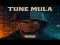 🎵 Tune Mula – Money Check (Official Audio)