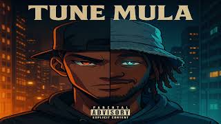 🎵 Tune Mula – Money Check (Official Audio)