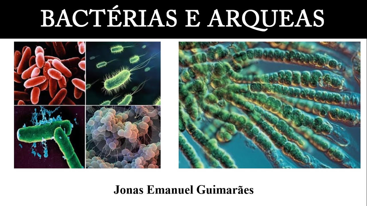 Bactérias e Arqueas - Prof Jonas
