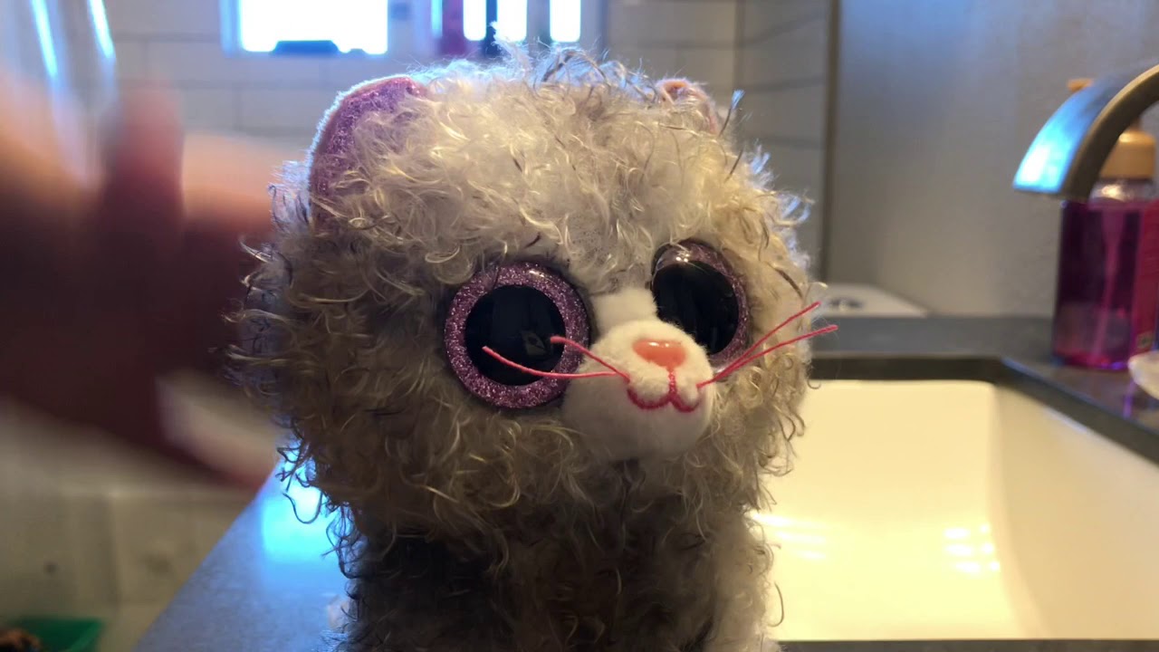 Cat flushing a toilet YouTube