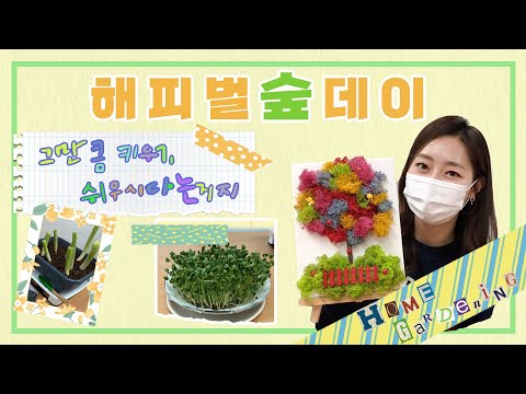 스칸디아 <strong>모스</strong> 액자로 기분내고, 파테크로 텅장지키기! (feat.식목일)