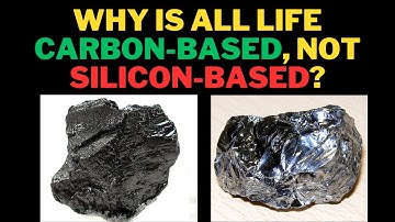 Why is All Life Carbon Based Not Silicon Based? #carbonbasedlifeforms #co2 #carbon #silicon
