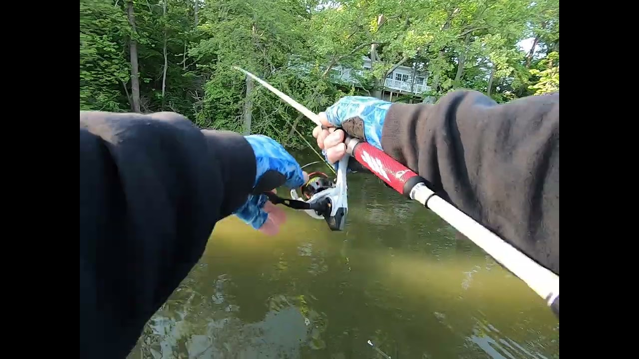Potomac River Bass Fishing MLF Tournament uncut footage