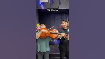 XXS VS XXL Violin… #aylex #violin #violinist #violinbow #violino #violincover #violinmusic #viola