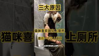 猫咪🐱喜欢跟你上厕所的三大原因！ #cat #貓咪日常 #寵物日常 #貓咪 #猫咪行为  #pets #萌寵 #铲屎官 #cute #猫咪迷惑行为