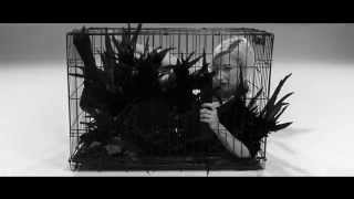 RIGHT THE STARS - The Only Thing