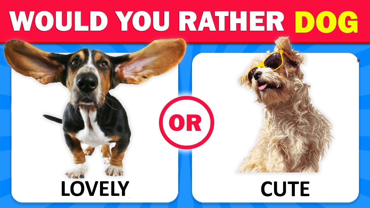 Would You Rather...? DOGS Edition 🐶 Cute Puppies and Dogs | Most Wanted Quiz