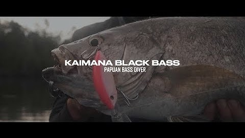 FULL VIDEO - KAIMANA BLACK BASS with the TOUGHFIA PAPUAN BASS DIVER CRANKBAIT
