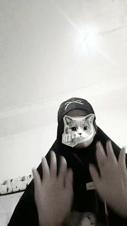 folow aku tiktok ku ya gess nama nya @sepiderwomen gambar nya kucing😻 #fypシ゚viral  #foryou