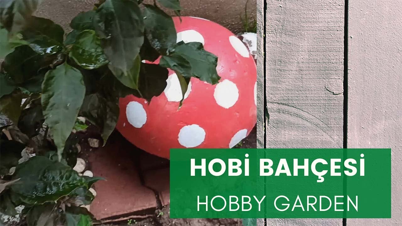 HOBİ BAHÇESİ - HOBBYGARDEN