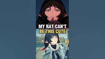 【Zenless Zone Zero】Agent Teaser Moments Be Like