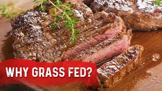 Why Grass Fed vs. Grain Fed - Dr. Berg