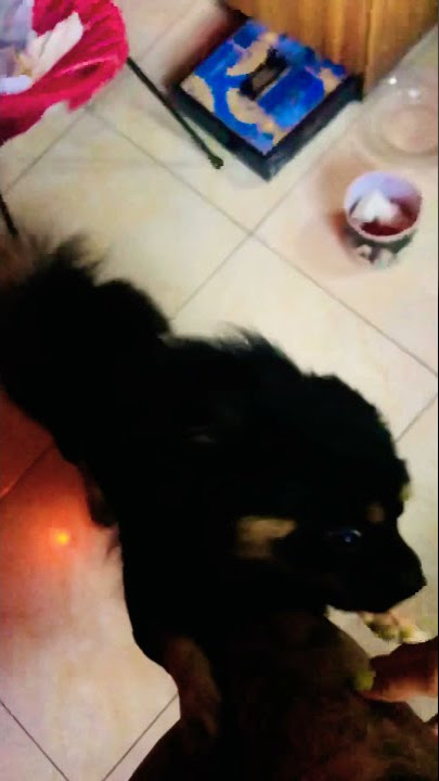 My baby boy