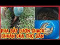 pha bắt lươn chạch chuẩn của thợ săn