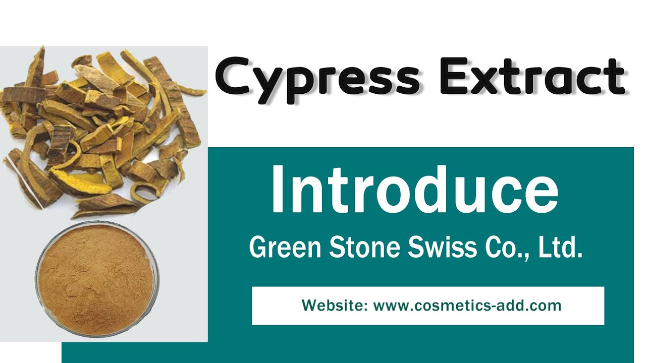 Natural Plant Extract Cypress Extract Powder, Manufacturer