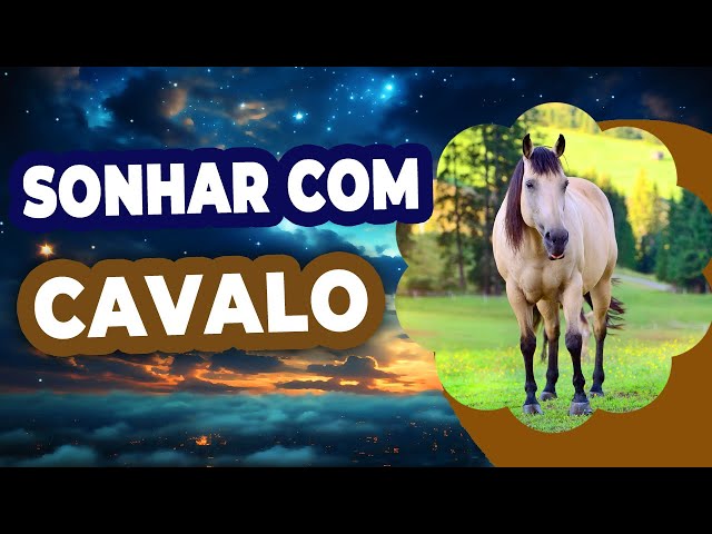 O que significa SONHAR com CAVALO - Interpretação dos sonhos