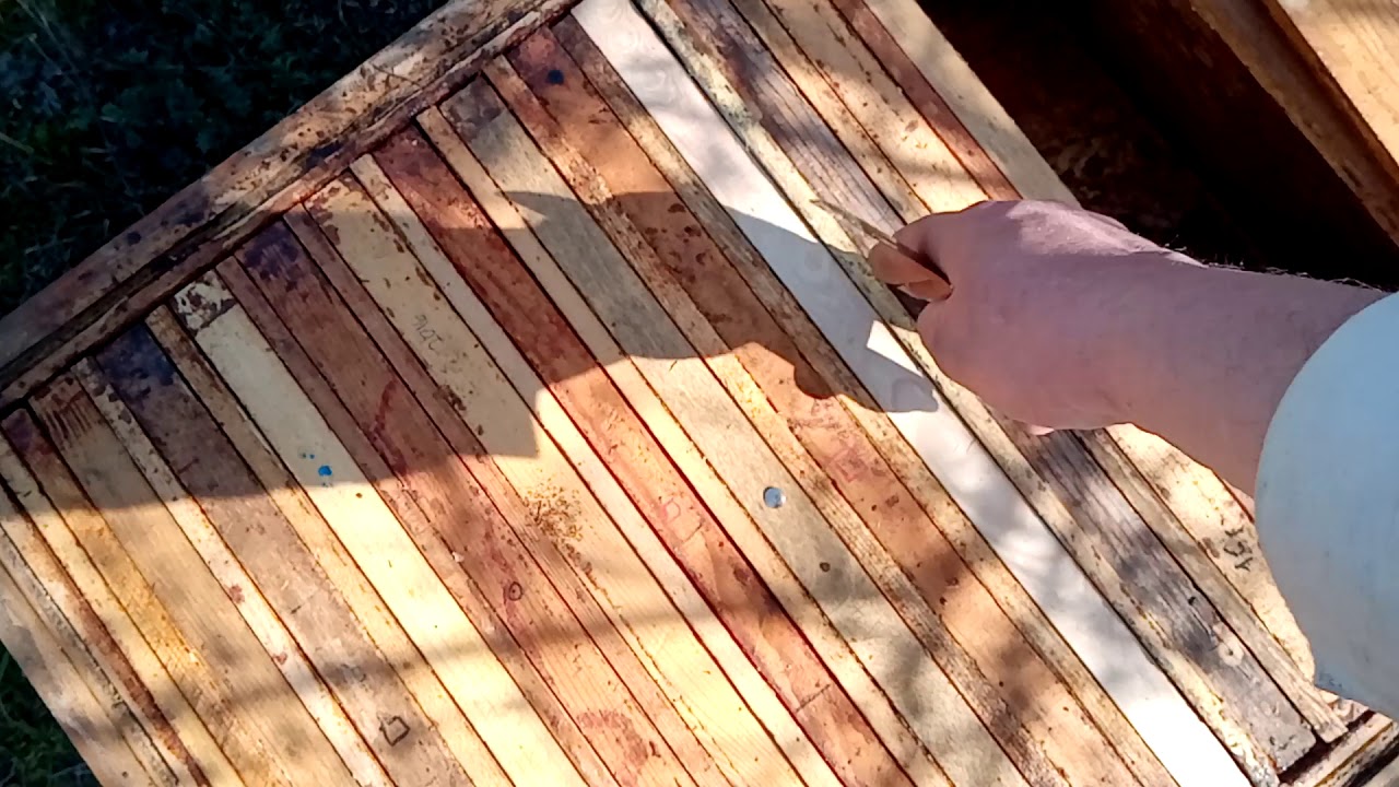 История про то как меня пчела за писюн ужалила. - YouTube