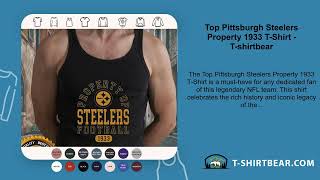 Top Pittsburgh Steelers Property