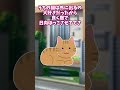 【2chほっこり】赤ちゃん抱っこした若いママ「こちらに猫ちゃんいましたよね？」 #Shorts #2ch