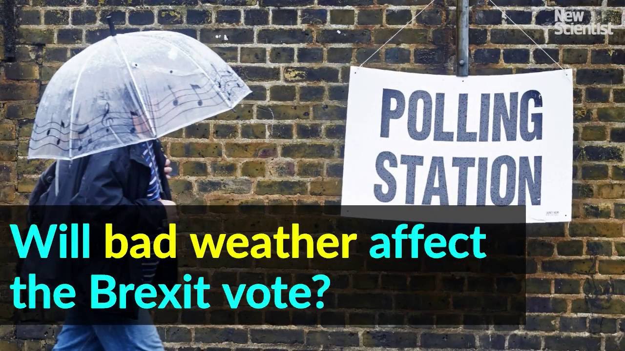 rain man Will bad weather affect the Brexit vote?