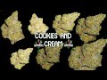 Cookies and cream  delta revolution arkansas medical marijuana reviewthe420guy