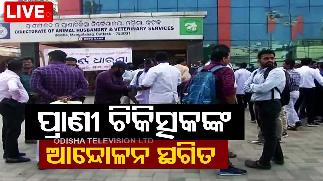 Big Breaking | ପ୍ରାଣୀ ଚିକିତ୍ସକଙ୍କ ଆନ୍ଦୋଳନ ସ୍ଥଗିତ  Live