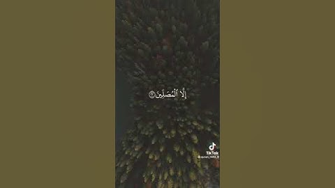 القارئ الشيخ عبدالعزيز الزهراني💚🌺🌹🌹🌹