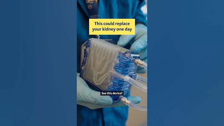 This device could replace your kidney
