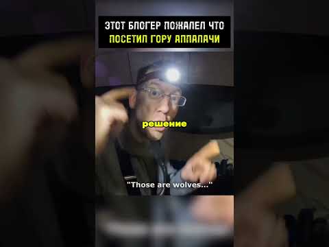 Этот блогер пожалел