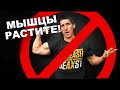 5 Причин Почему Мышцы Не Растут | Джефф Кавальер на Русском