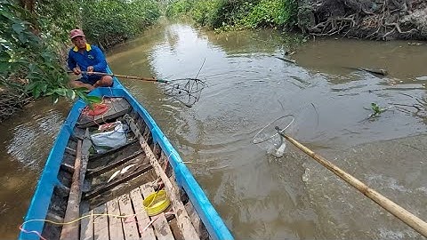 Test Máy Lạnh 60B Chuyên Cá Da Trơn Lạnh Thả Cáp Kích Cá Miền Tây