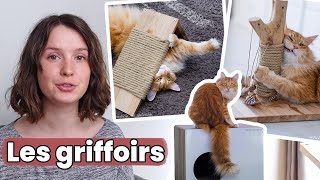 Tous savoir sur les griffoirs pour chats !