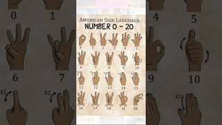 Numbers 0-20 in ASL 🤟(American 🇺🇸 Sign Language) #asl #father4son #bibekjeevan