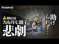 カルガモ親子の引越しで悲劇0509R⑧【溺れた雛鳥を助けたが衰弱】危険地帯で赤ちゃんカモが穴に落ちる