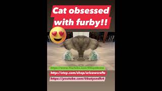 Funny Cat Obsessed With Furby Lol