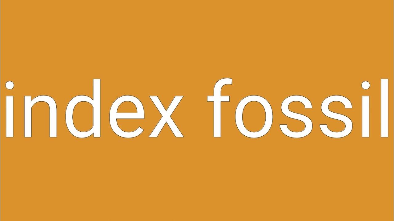 Index Fossil Definition & Meaning YouTube