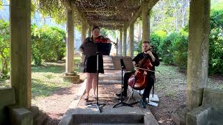 Flowers - Miley Cyrus - Appalachian StringWorks