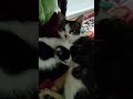 Когда решили отдохнуть.