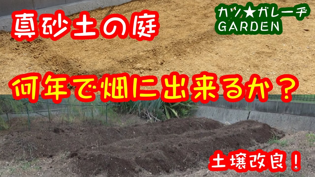 真砂土 花崗土 の庭を土壌改良で家庭菜園の土を作るにはどのくらい年数がかかるのか カツ ガレーヂgarden03 Youtube