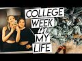 college week in my life nyc | getting real, interviewing, healthy grocery haul!