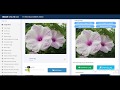 Add noise image in image - imageonline.co