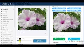 Add noise image in image - imageonline.co
