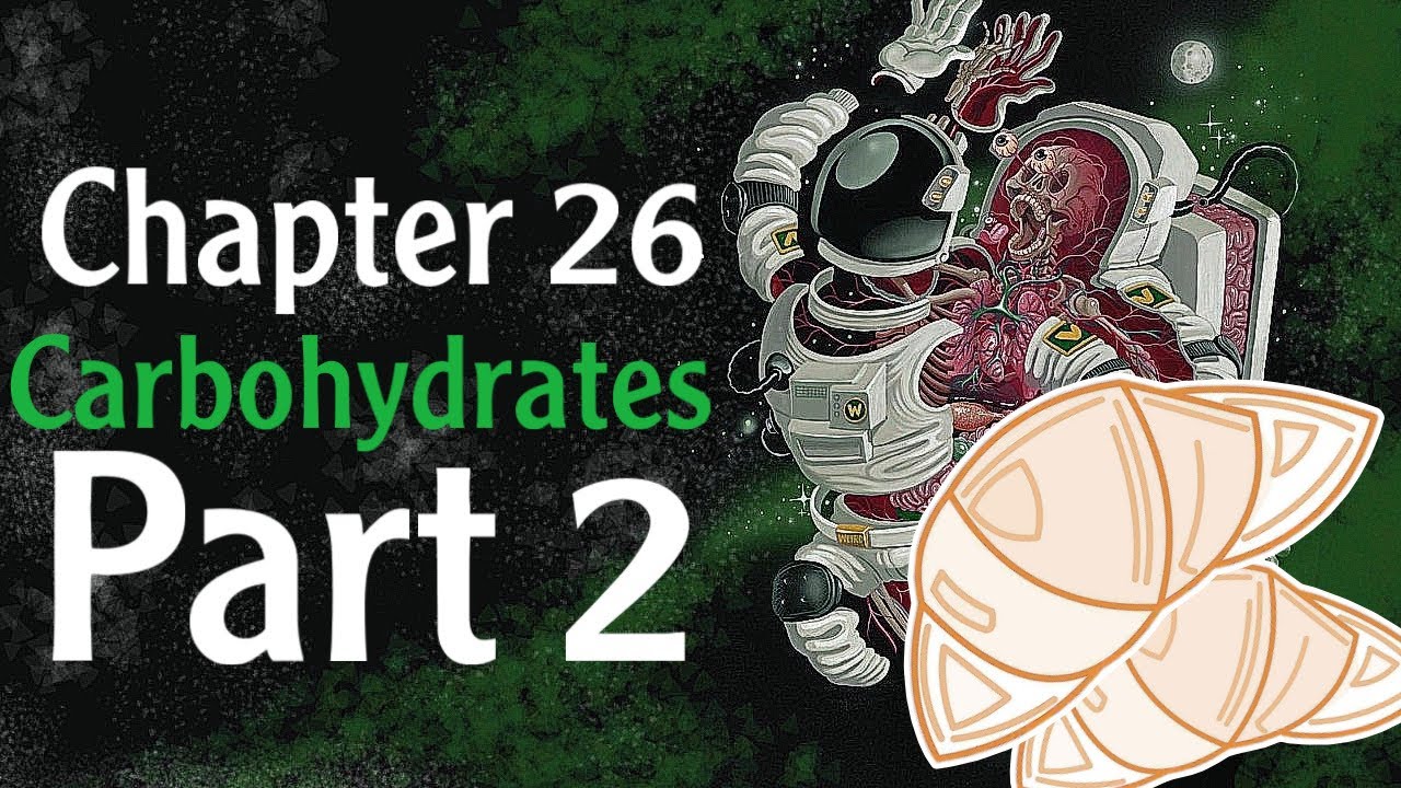 Physiology Chapter 26 Carbohydrates digestion & absorption part 2 ( فسلجة وزاري )