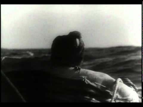 Kon Tiki - Shark Scene