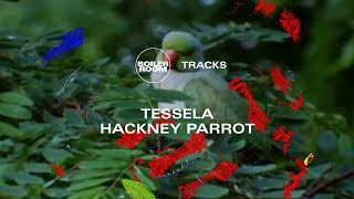 Rave belter to match the 90s originals Tessela's massive Hackney Parrot | Boiler Room