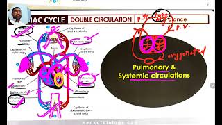Body fluids and Circulation Part - 5