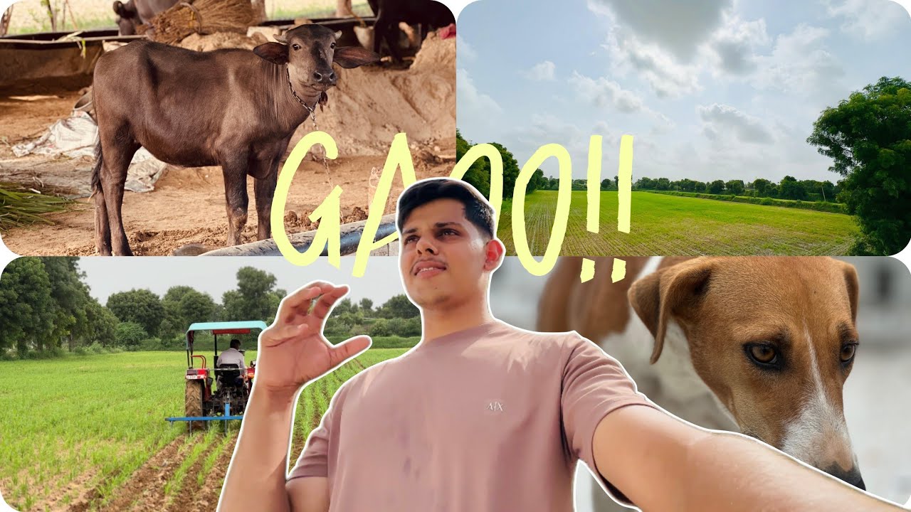 VILLAGE HOME 🏡🚜!! in rainy 🌧️ season 💨