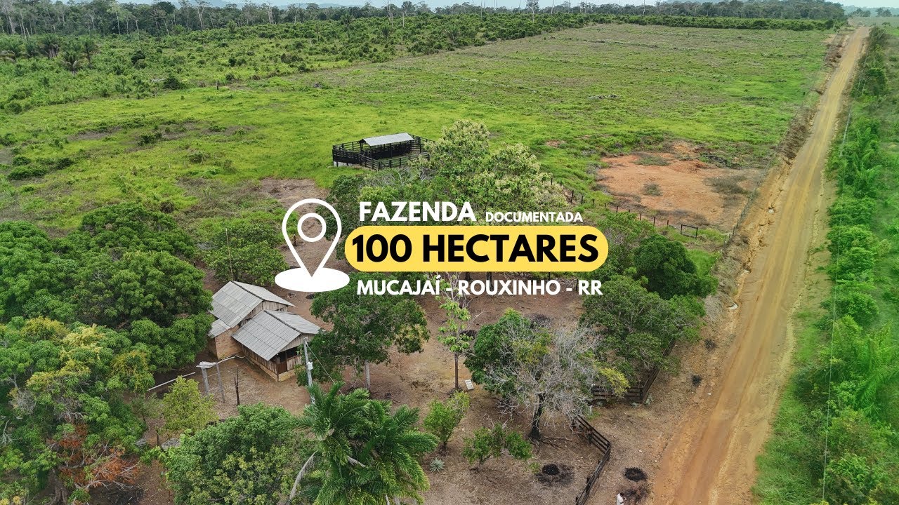 100 HECTARES EM MUCAJAÍ - ROUXINHO